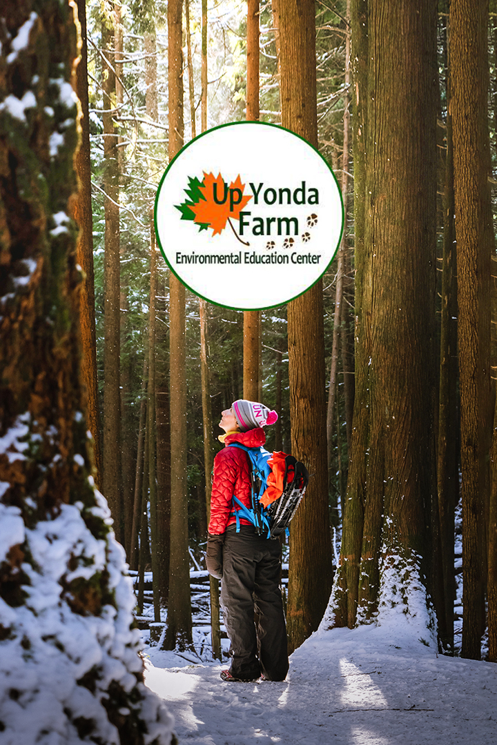 Up Yonda Farm