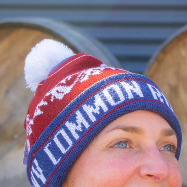 Red and blue beanine with mountains and gondola pattern