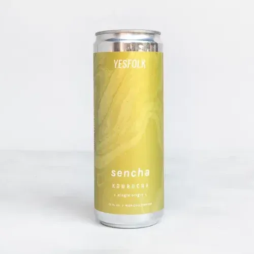 Can of Kombucha