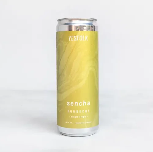 Can of Kombucha