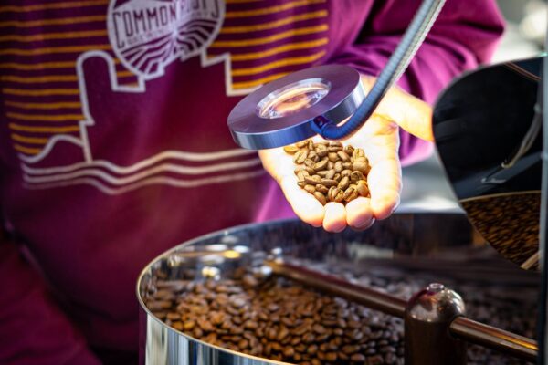 Person holding coffee beans in their hand