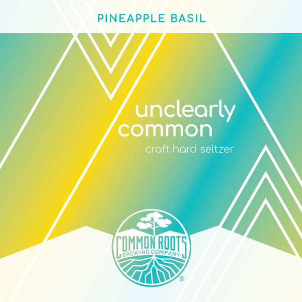 Pineapple Basil Hard Seltzer label, featuring a colorful geometric line art pattern.