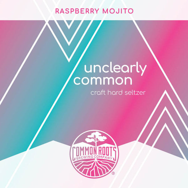 Raspberry Mojito Hard Seltzer label, featuring a colorful geometric line art pattern.