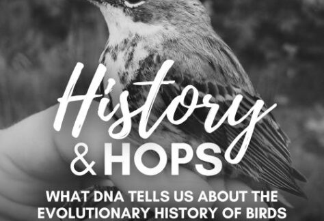 History and Hops poster