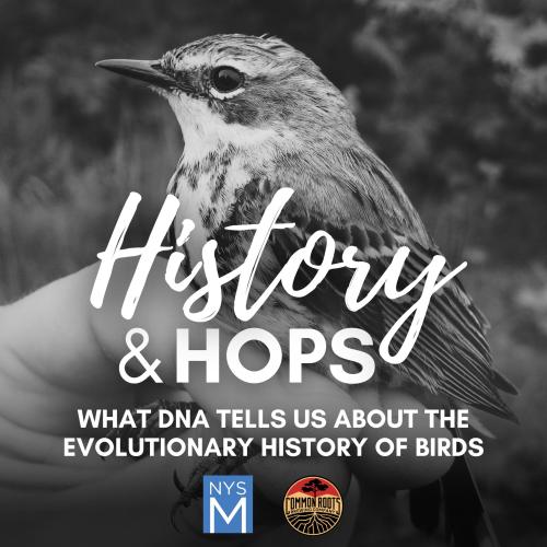History and Hops poster