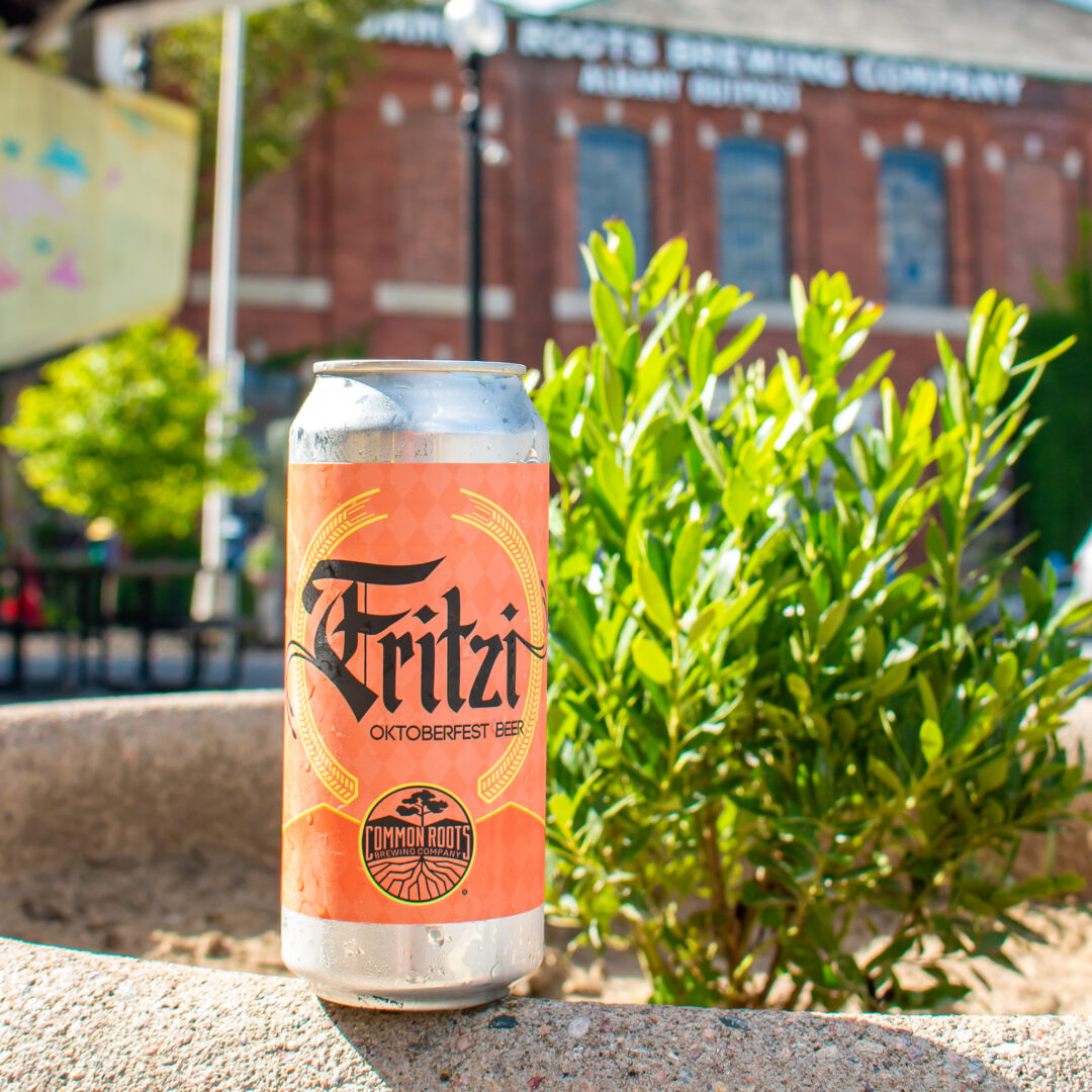 Can of Fritzi infront of the Albany Outpost fallscape