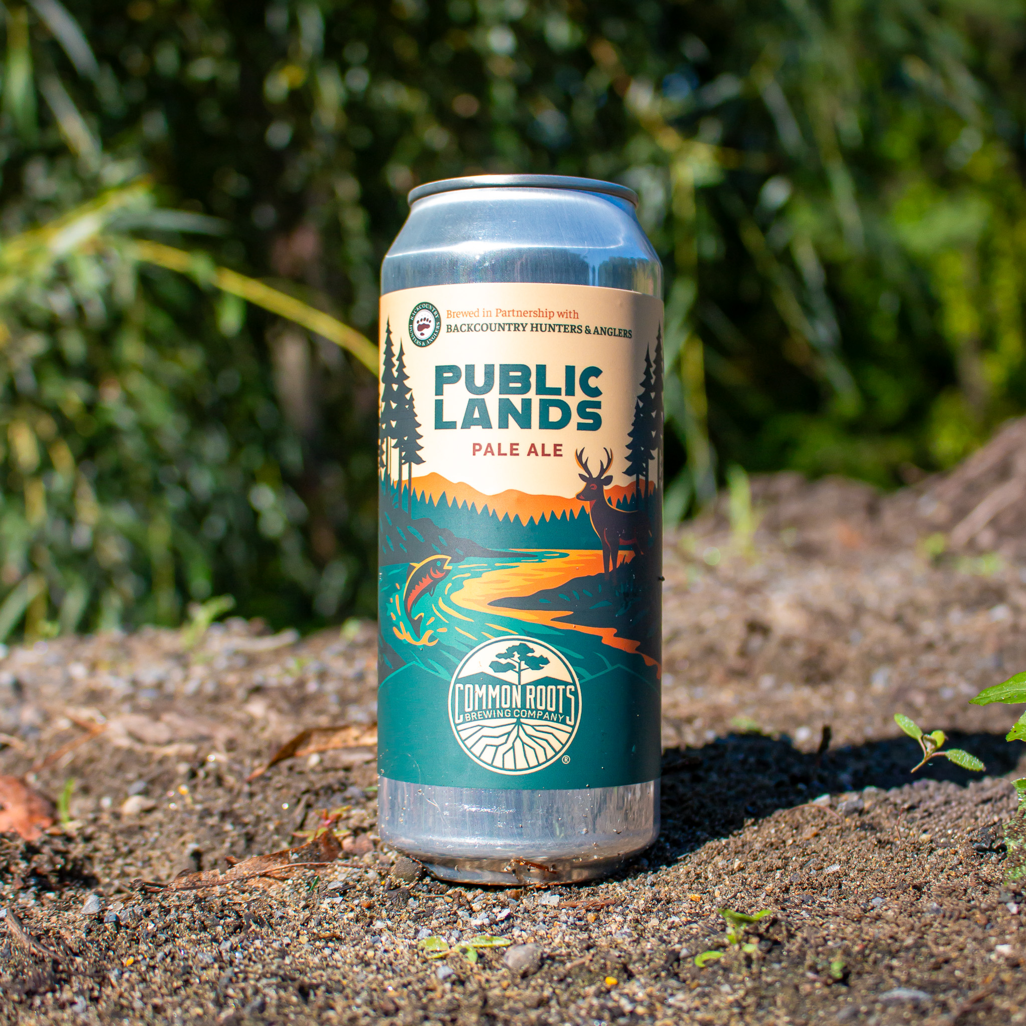 public lands pale ale