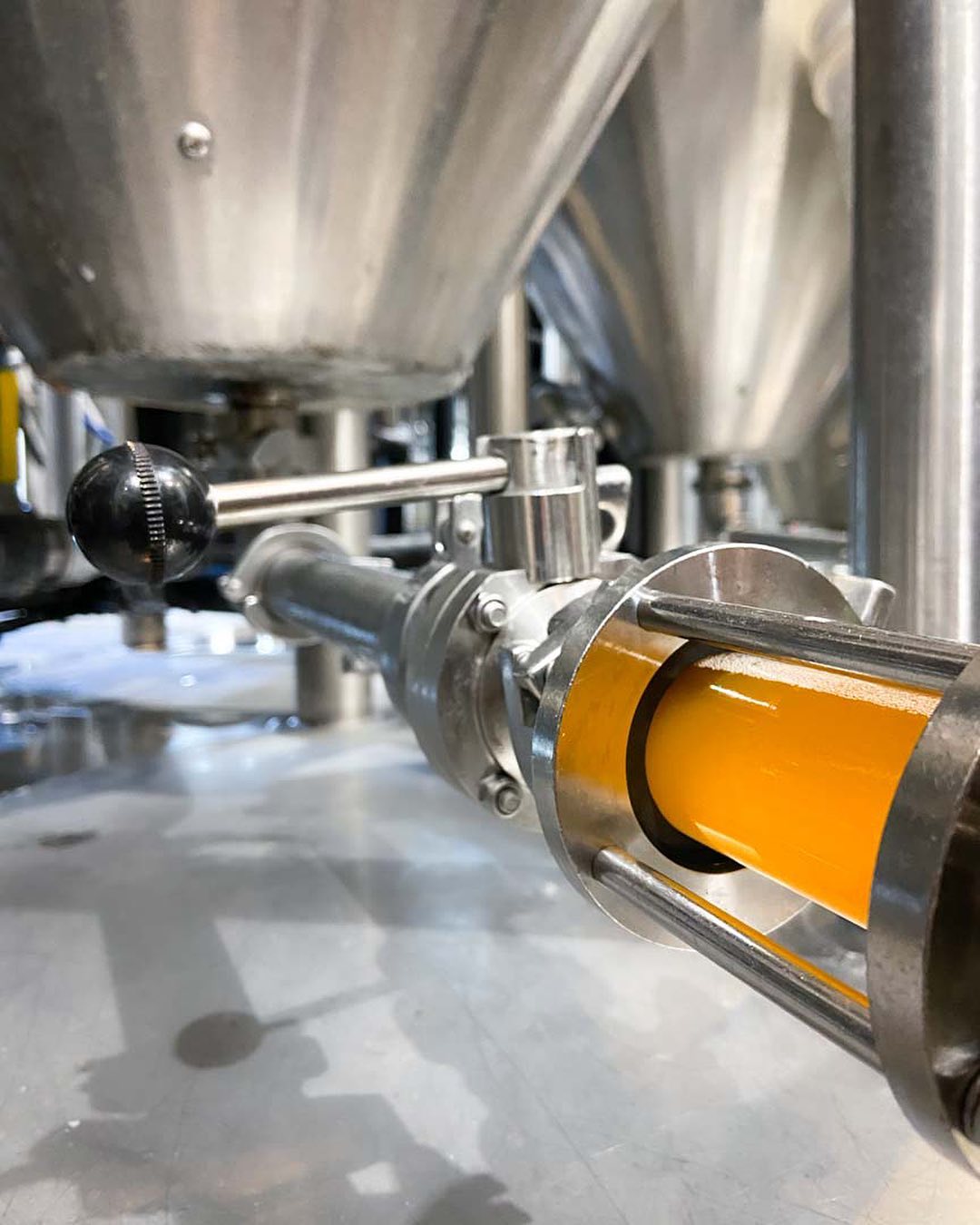 296175488_178352167984686_2846657154453818863_n